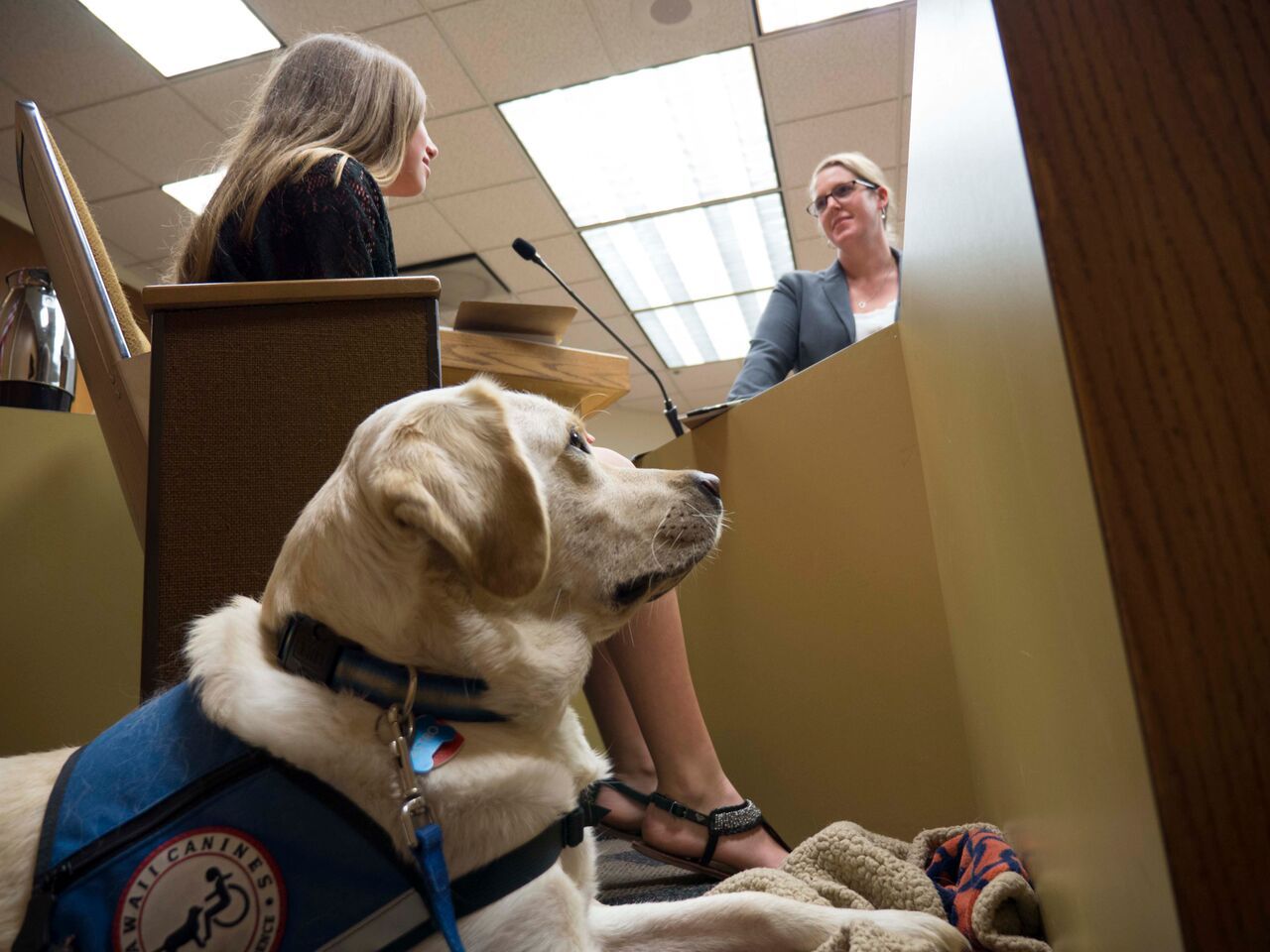 AstroCourthouseFacilityDog